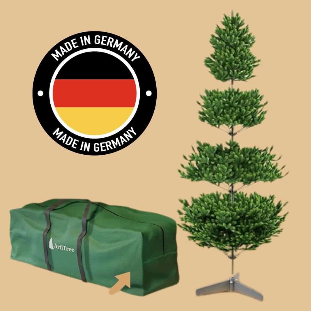 Albero Polonia